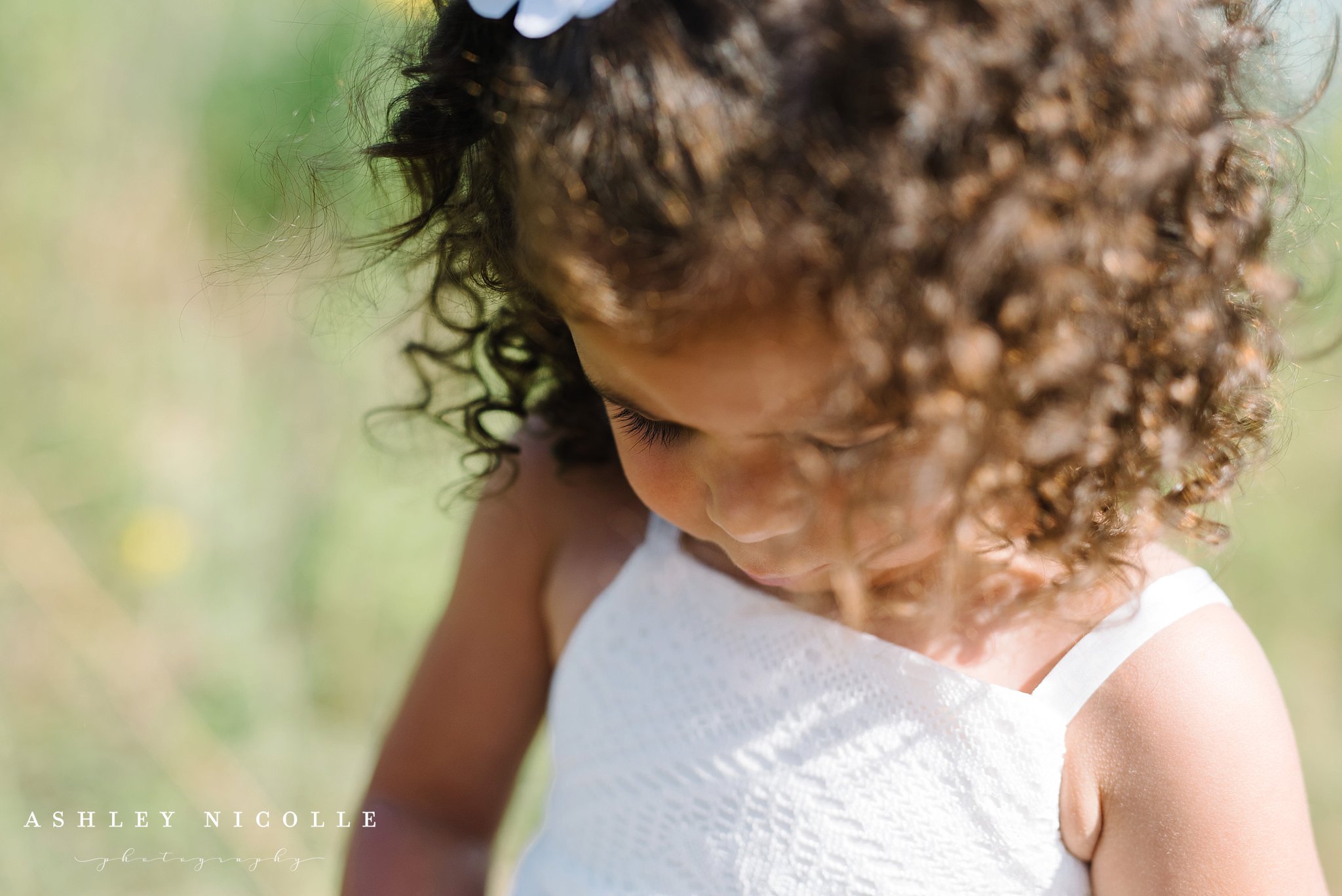 metroparks family session canfield